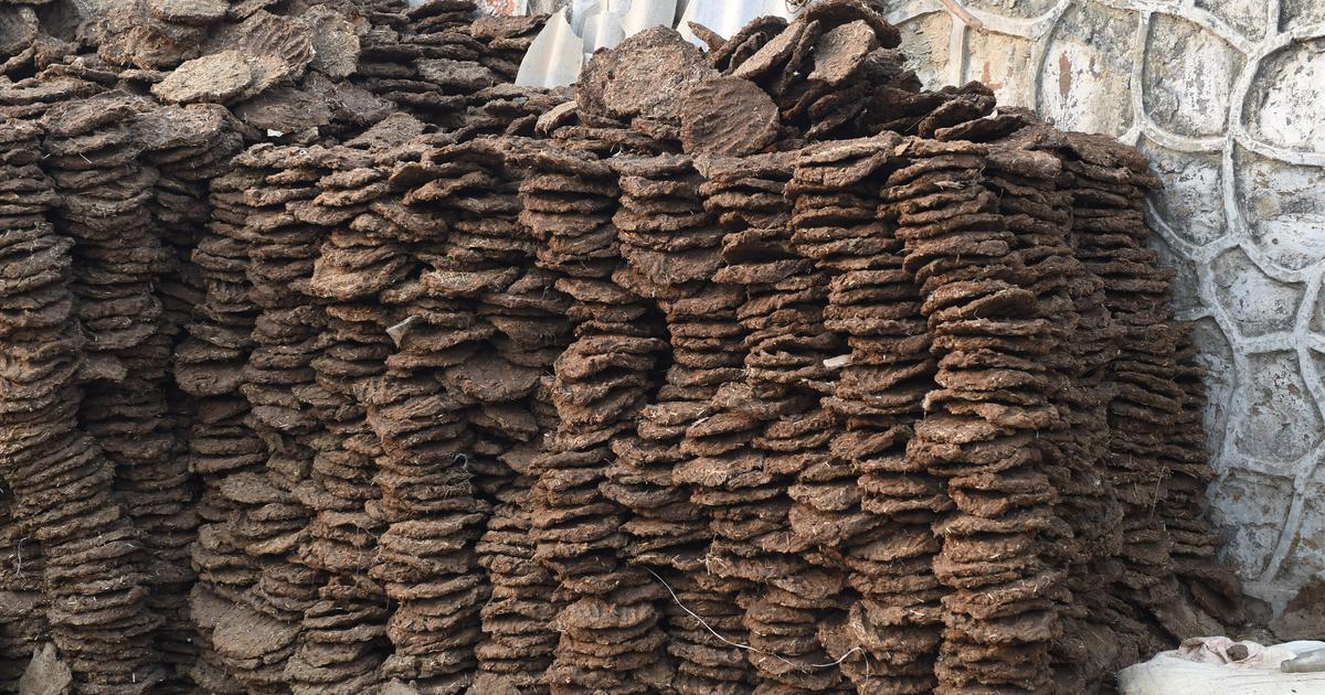 Desi Cow Dung Cakes Used as Dry Cow Dung Manure for Havan (5 No's)