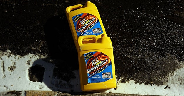 New Jsersey woman admits giving deadly drink containing antifreeze to ...