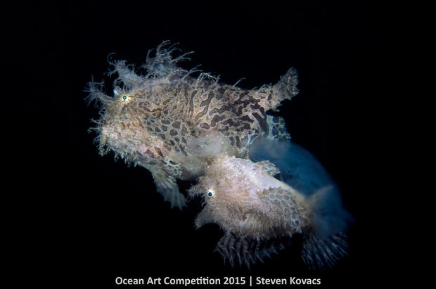 1st-mlb-ocean-art-2015-steven-kovacs-1200.jpg 