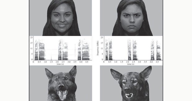 dogs-can-tell-when-you-re-happy-or-sad-study-finds-cbs-news