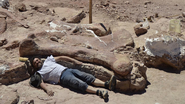 titanosaur-1-excavation-site.jpg 