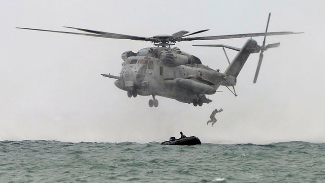 seastalliongettyimages-181287464.jpg 