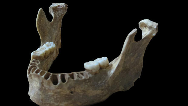 ancient-jawbone-human-neanderthal.jpg 