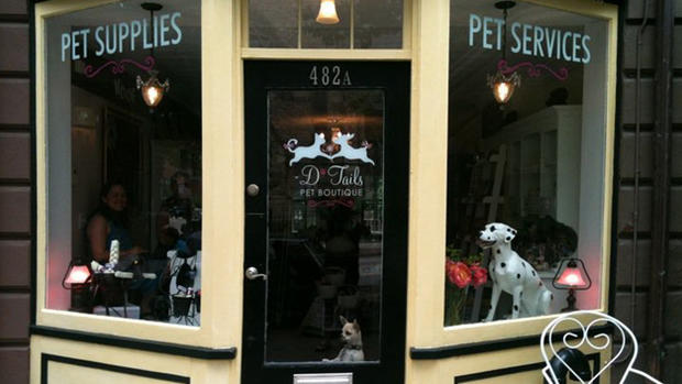 D'Tails Pet Boutique 