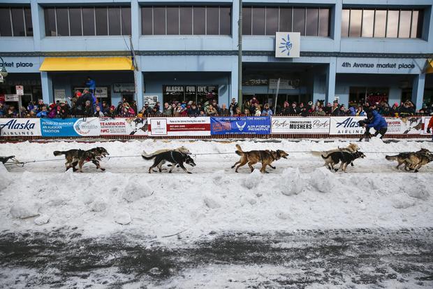 Iditarod dog-sled race-2016-03-06t020156z1253319605gf10000335140rtrmadp3usa-iditarod.jpg 