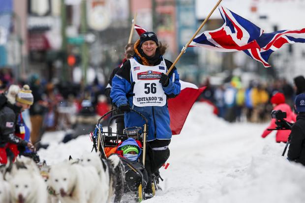 Iditarod dog-sled race-2016-03-06t023811z204284191gf10000335167rtrmadp3usa-iditarod.jpg 