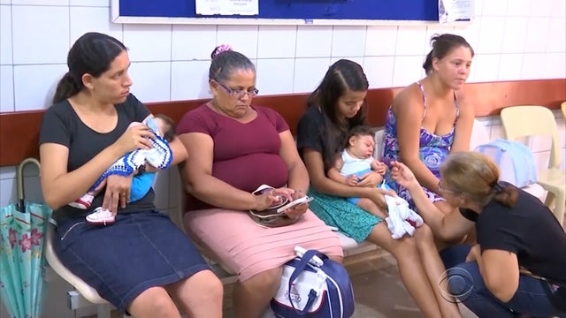 Zika virus outbreak: These places are most at risk 