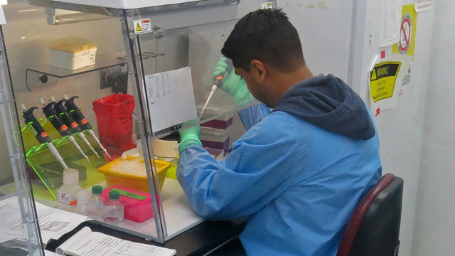 zika-lab.jpg 