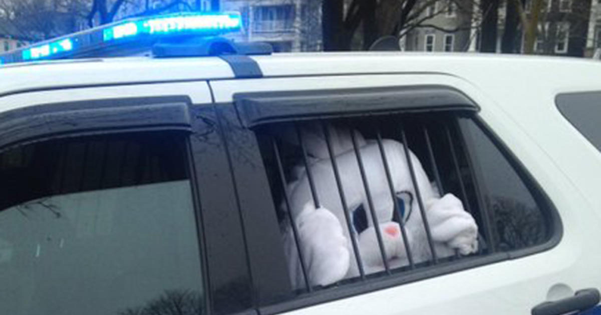 Easter Bunny Arrested By Boston Police Cbs Boston 2813