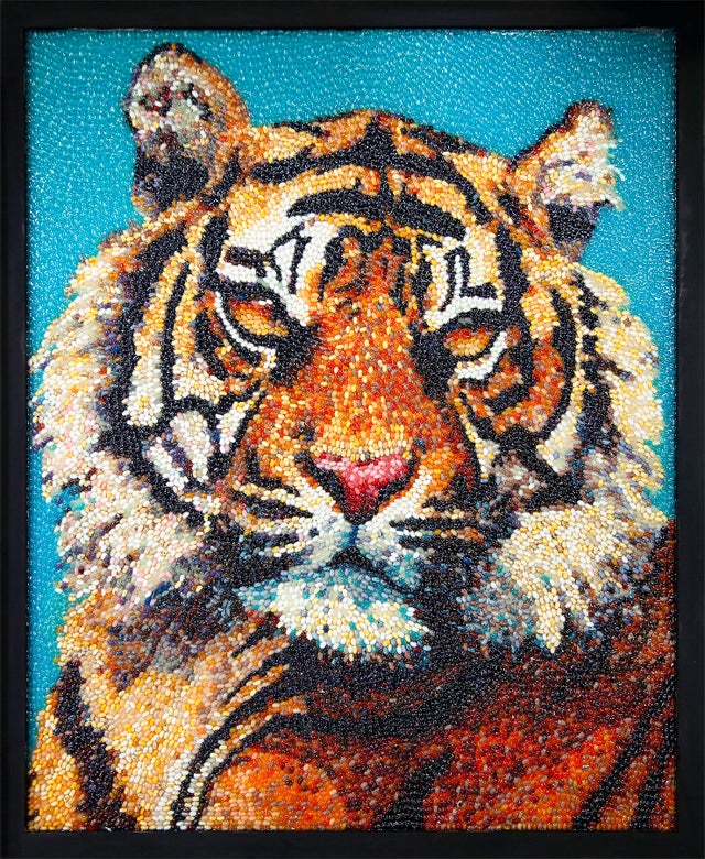 jelly-bean-art-tiger.jpg 