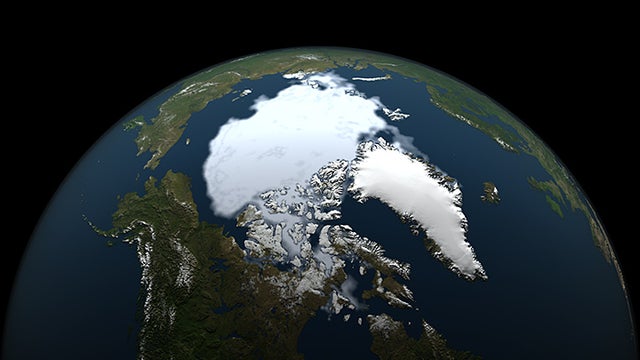 318seaice1990.jpg 
