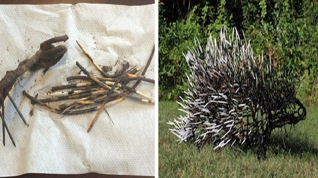 porcupine-sculpture.jpg 