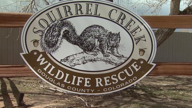 Squirrel Creek Wildlife Rescue and Scarlet Ranch 