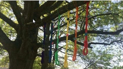 635966206045128684-2016-04-18-22-55-46-rainbow-colored-nooses-at-apsu-disturbing-1741366ver1-0.png 