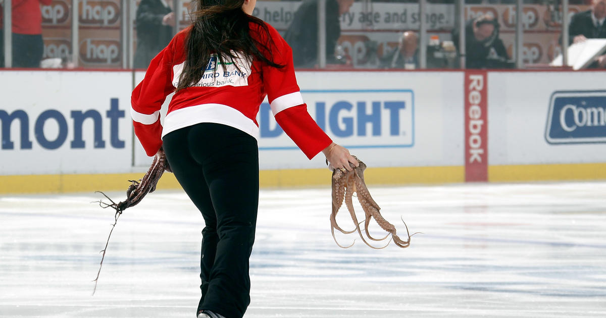 PETA asks Red Wings to punish octopus throwers