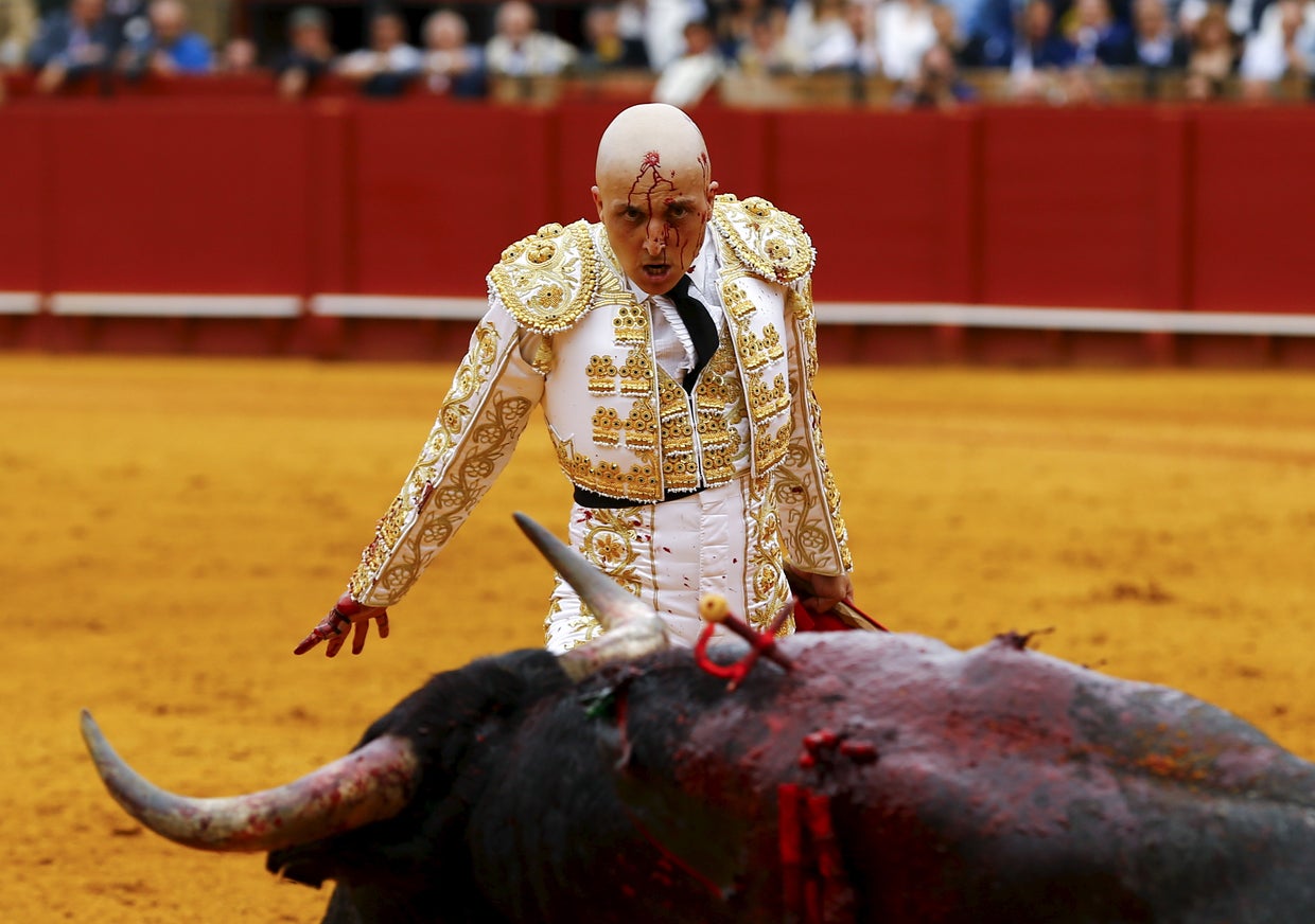 Photos of the week - The week in pictures - April 16-22, 2016