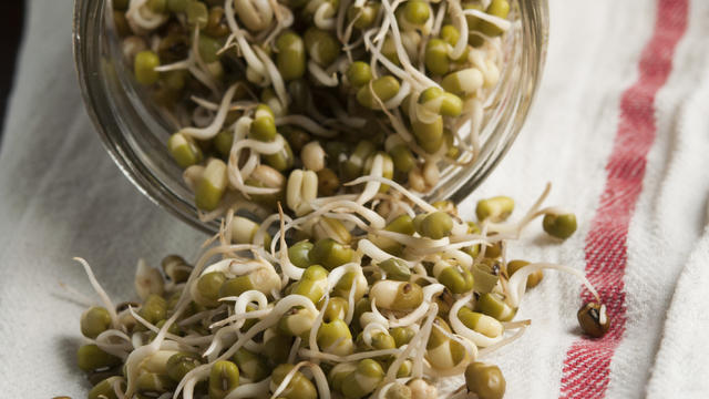 sprouted-mung-beans-crystal-grobe.jpg 