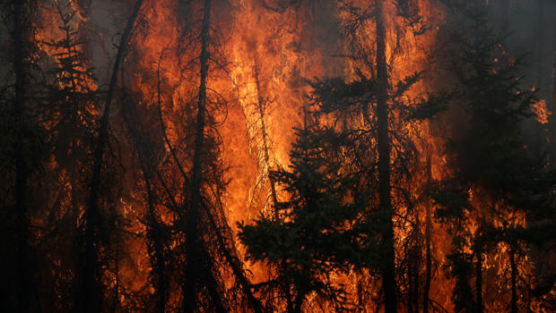 Flames engulf trees along a highway near Fort McMurray, Alberta, on May 6, 2016. 