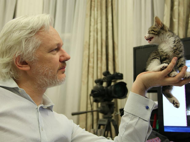 Julian Assange and his kitten 