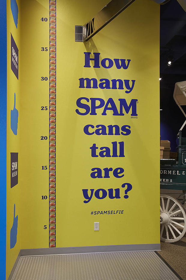 SPAM Can Measurement 