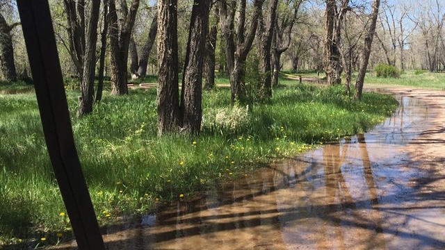 pawnee-grassland-flooding-2-usfs.jpg 