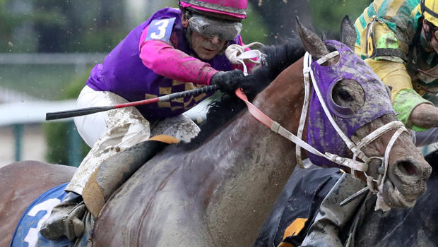 Race one winner Homeboykris (3) collapsed and died following the post-race winner's circle presentation while returning to the barn on race day for the 141st running of the Preakness Stakes at Pimlico Race Course in Baltimore on May 21, 2016. 