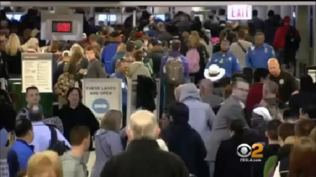 lax-long-lines.jpg 