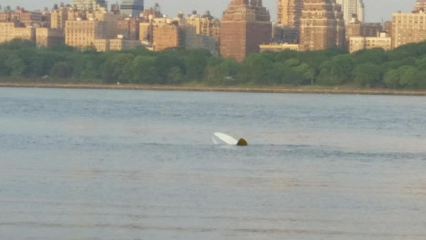 Hudson River Plane Crash 