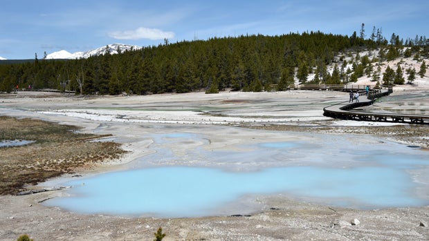 A view of the Norris Geyser Basin at Yellowstone National Park on May 12, 2016. 