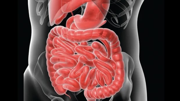 colon-illustration.jpg 