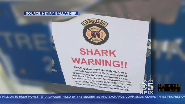 shark-warning.jpg 