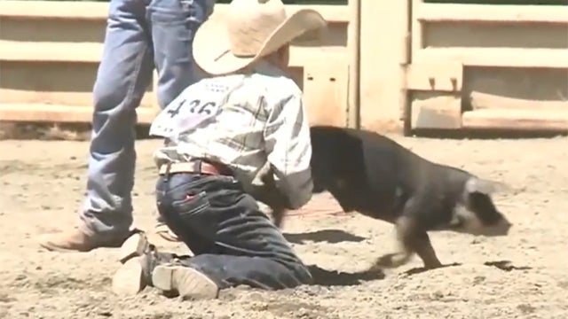 pig-scramble-promo.jpg 