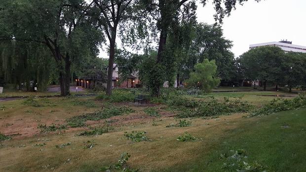 july-5-severe-weather_trees-down-in-st-louis-park_coley-fredrickson.jpg 