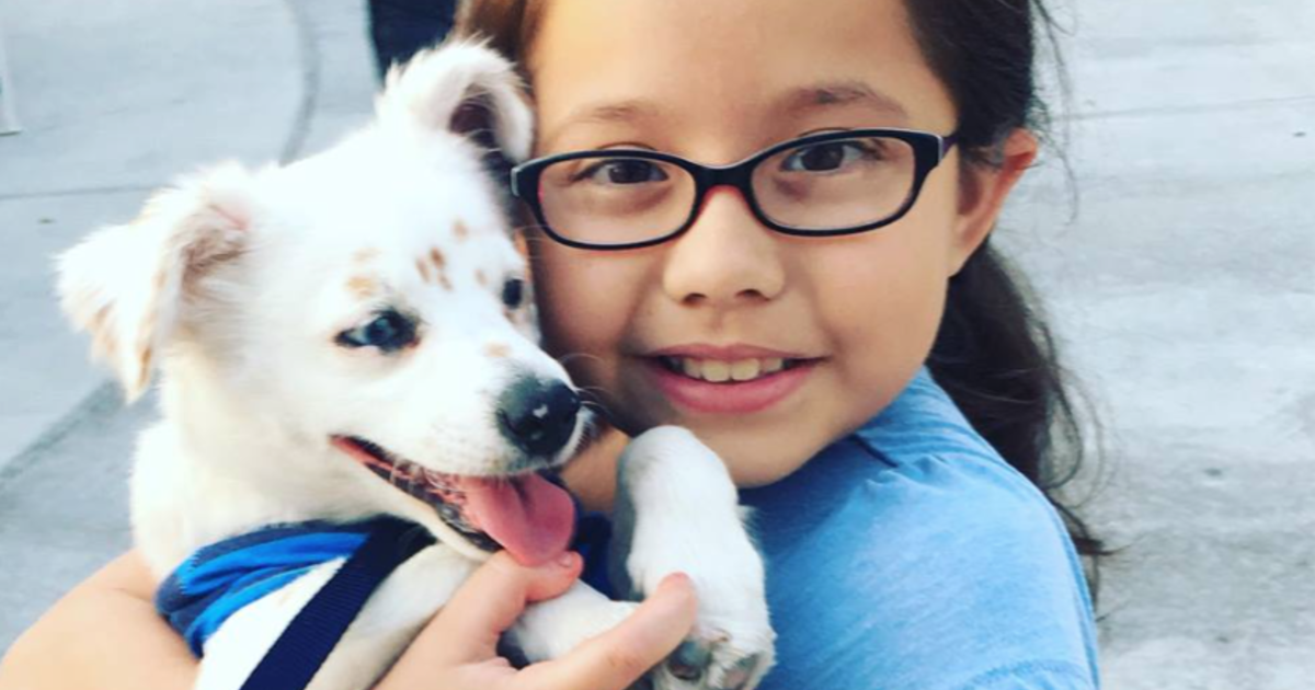 Deaf 10-year-old girl teaches hearing impaired puppy sign language ...