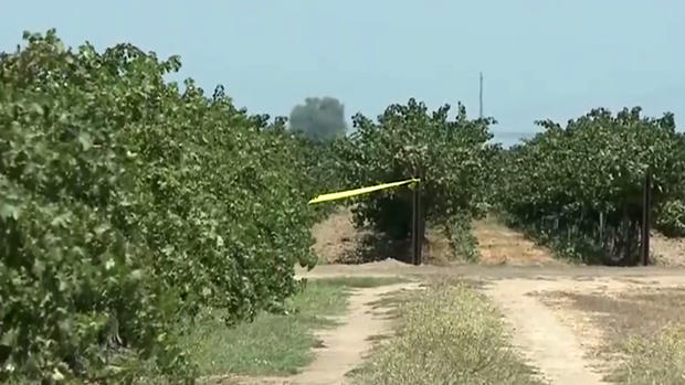 Skydivers Killed Near Lodi Airport - Police Tape in Vineyard 