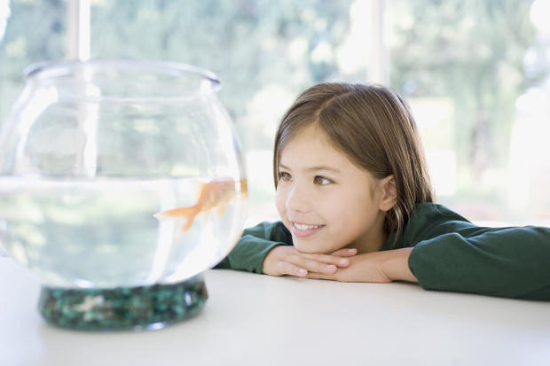 Girl looking at goldfish in bowl 