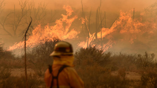 Devastating California wildfires 