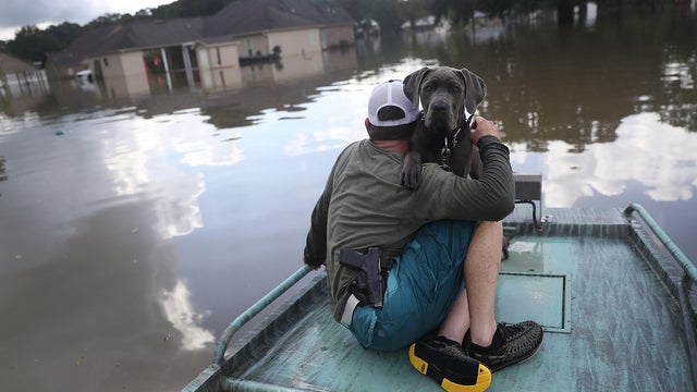 gettyimages-591511804.jpg 