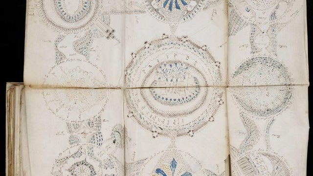 voynich-manuscript.jpg 