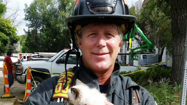 boulder-firefighter-saves-kitten-from-bfr-twitter-page.png 