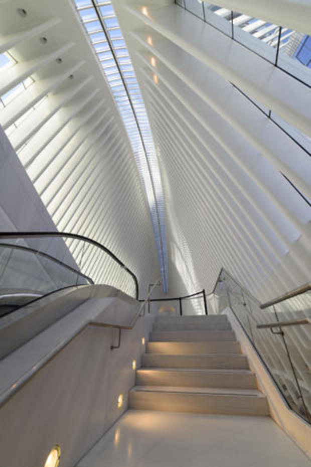 daniel-jones-stairway-and-skylight.jpg 