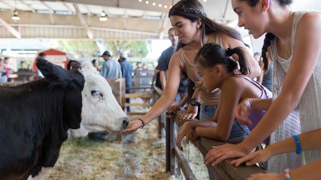 lacountyfair.jpg 