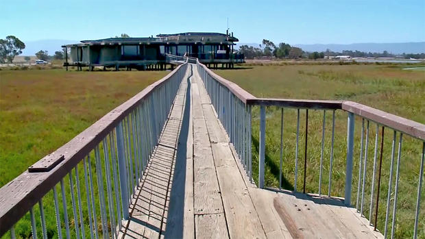 View From Boardwalk Toward Visitor Center in Palo Alto 