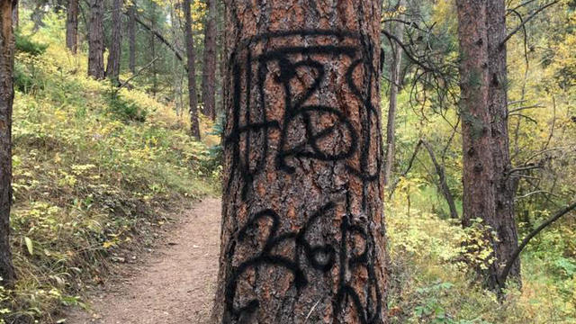 trail-graffiti-1-kittredge-community-connection-fb.jpg 