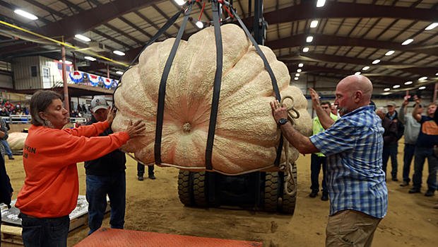 loading-winning-pumpkin 