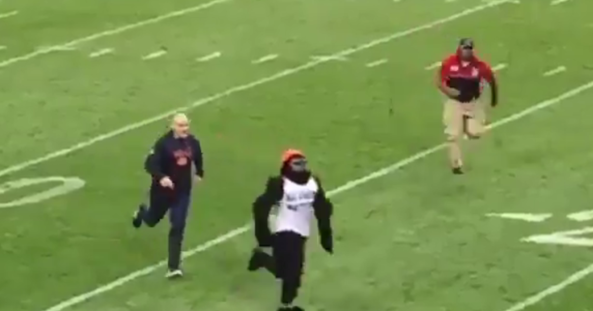 Bears-Lions game interrupted by man in gorilla costume, 'All Lives Matter'  shirt