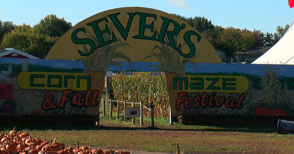 Sever's 2020 Fall Festival CBS Minnesota