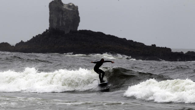 oregon-shark-bite-2016-10-10.jpg 