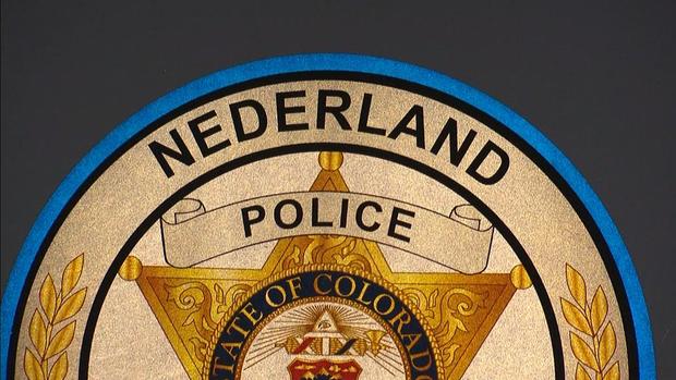 Nederland Police Generic Badge 