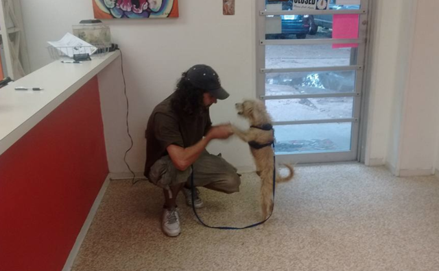 Kind stranger helps homeless man get his dog back from the pound - CBS News